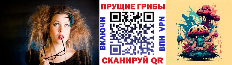как найти наркотики  Вольск  Галлюциногенные грибы Cubensis 